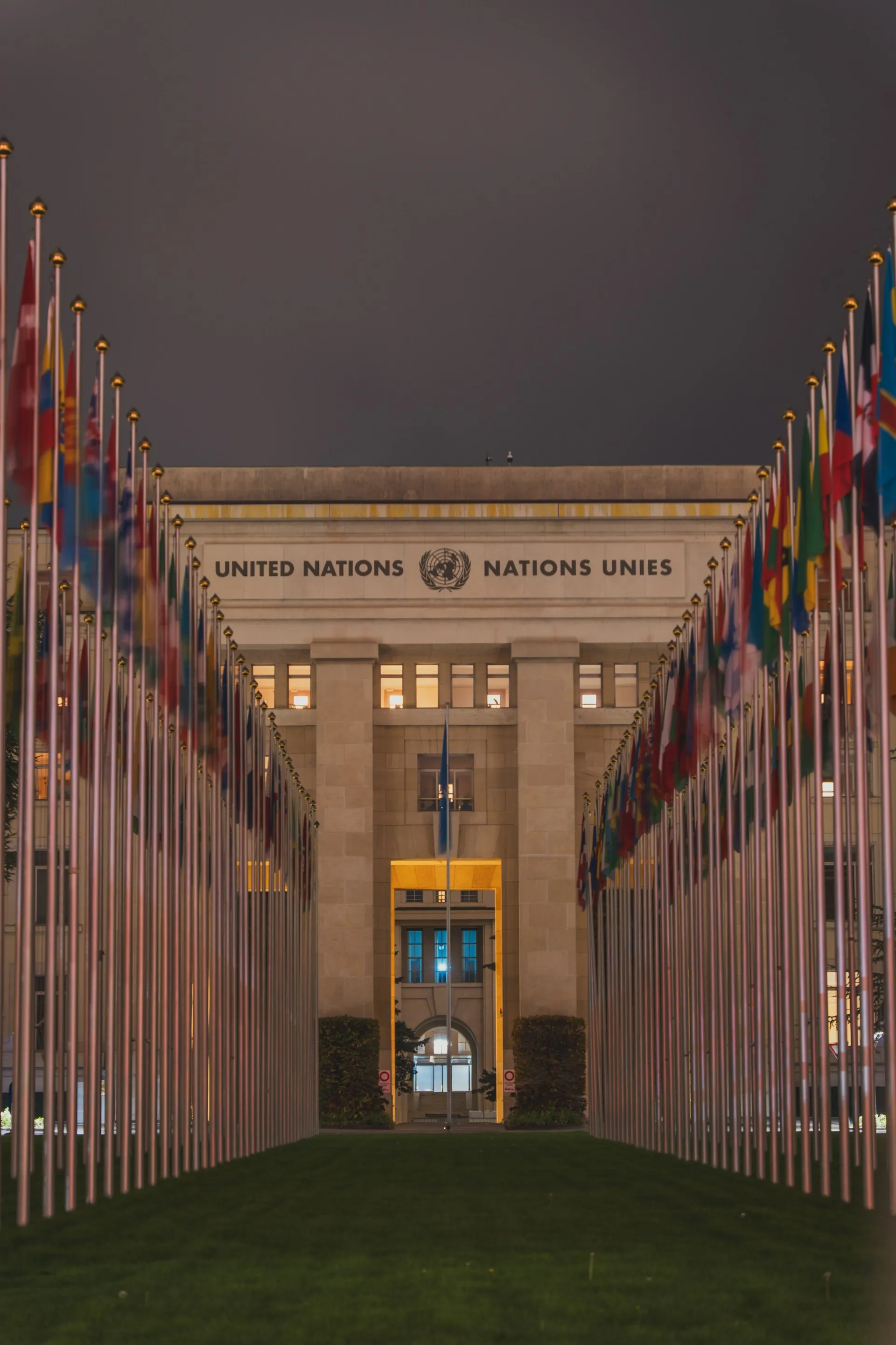 “美国援助（USAID）缩减的危机？对民主的危险及对商业的影响”