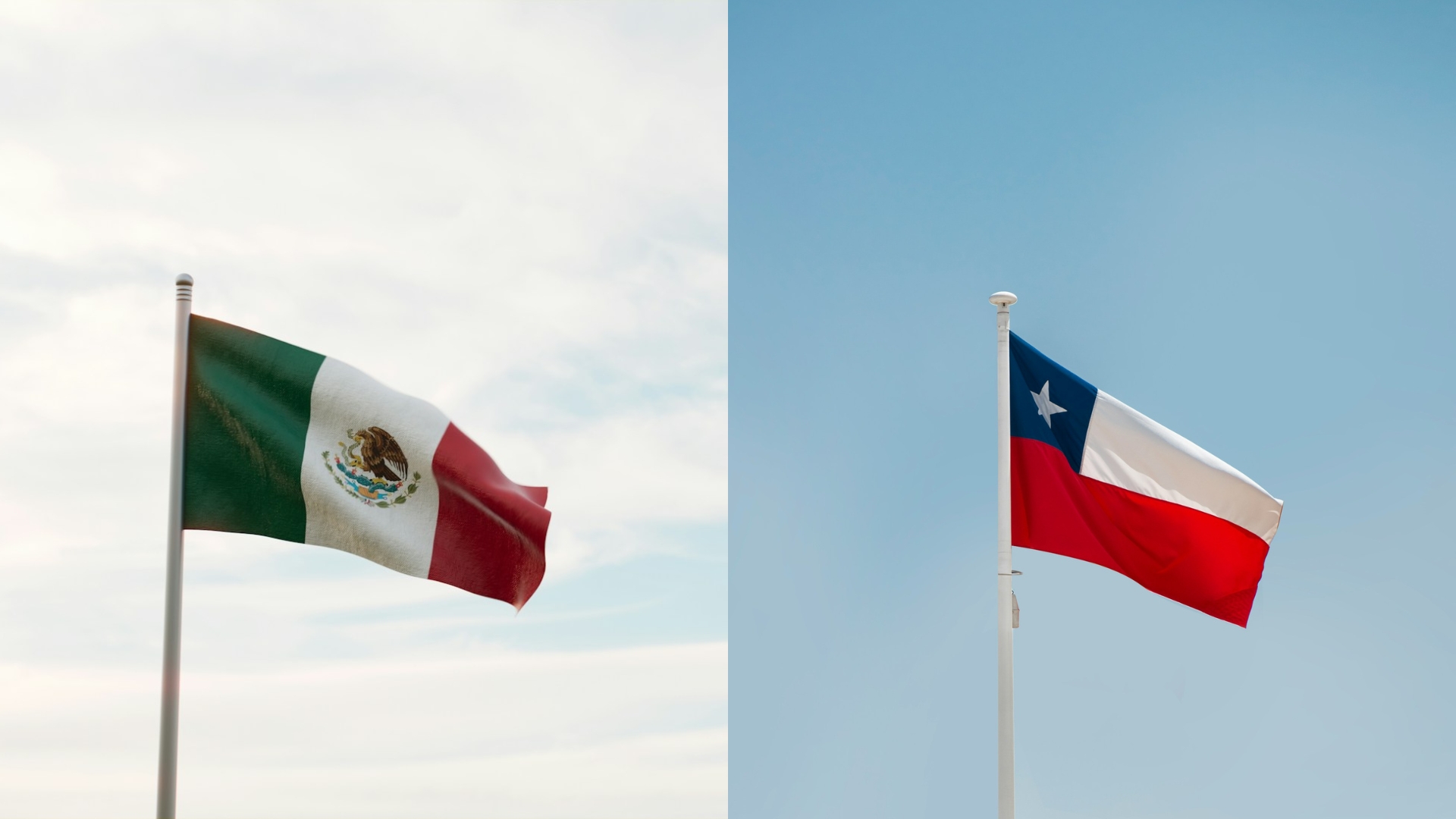 墨西哥与智利的贸易关系：经济部报告