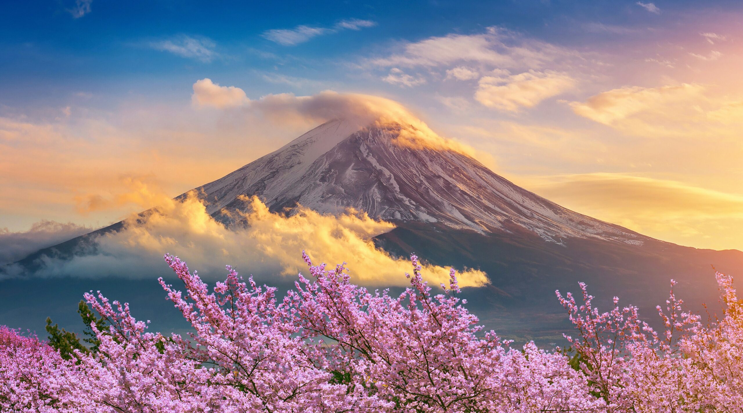 墨西哥向日本出口石油：霍尔木兹海峡重塑全球能源格局